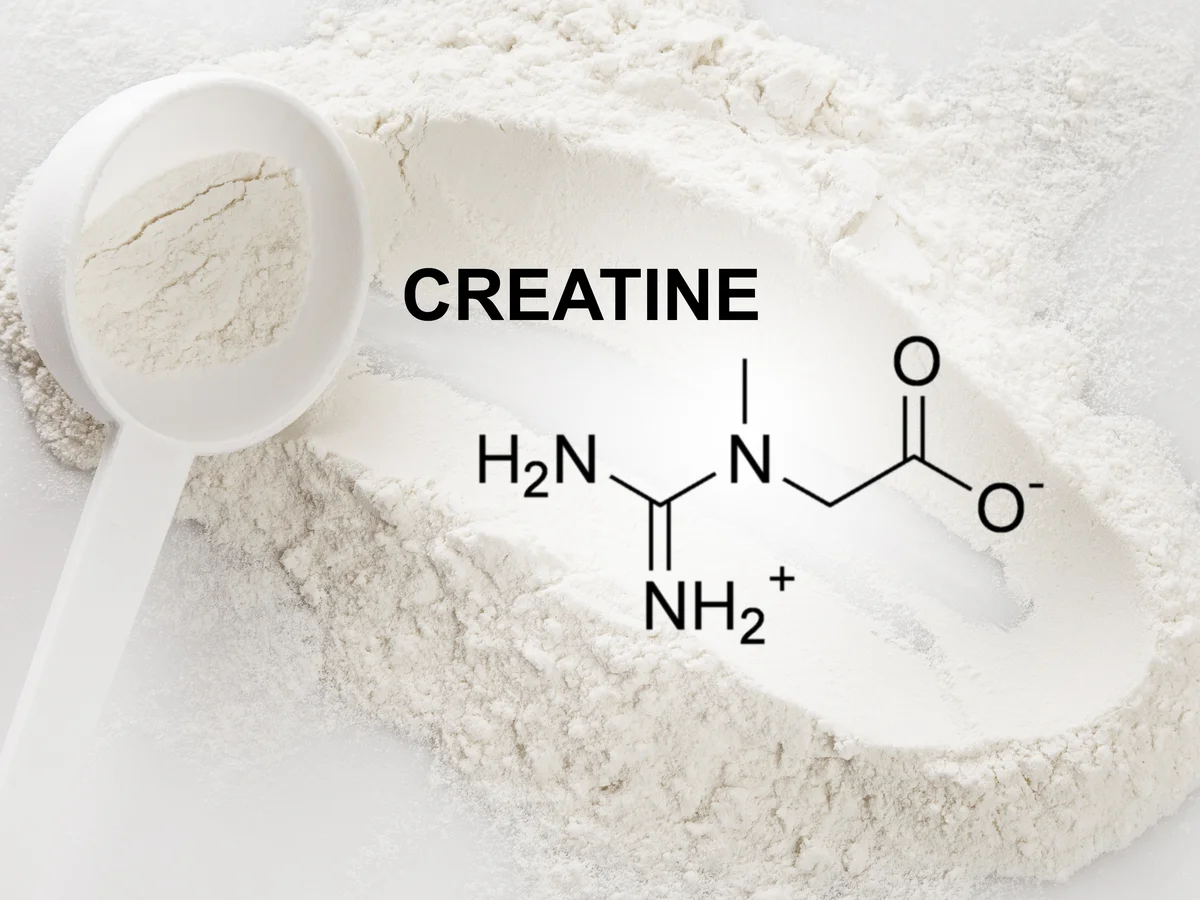 The Science Behind Creatine: How It Powers Your Muscles